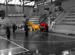 Martial Arts Festival Show Rovereto 26-27.04.2014